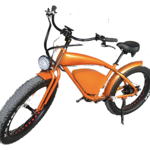 e-bike California